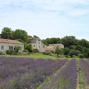 Les ânes De 3*, Forcalquier France